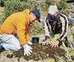 過疎の集落をクマノザクラの里に　古座川町小森川で植樹