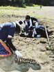 ウミガメふ化率を調査　ライオン社員が協力、和歌山県みなべ町千里の浜