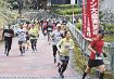 ３０３人が山里走る／４年ぶり　木の郷マラソン／田辺市龍神村