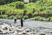 アユ漁が解禁　初日から多くの釣り人、和歌山県日置川