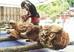 チェーンソーで「龍」彫刻／須賀神社／樹齢３００年のスギ使う／みなべ