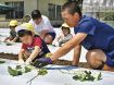 サツマイモ苗植える／上富田・岩田幼　高校生に教わり