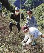 広葉樹の森へ、苗木植樹／農業遺産住民事業／森林組合や梅農家／みなべ