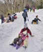 田辺市龍神村／南国紀州の雪遊び／１月２５日　林道散策も