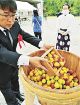 【動画】広がれ！紀州梅　「梅の日」に世界遺産の神社に奉納、東京でＰＲ