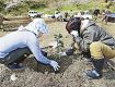 特産化へヤマモモ植樹　上富田町の住民団体が初の試み