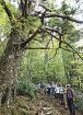 龍神の山歩き楽しむ／市民限定ツアー　温泉にも入浴