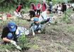 天神崎の自然を満喫／田辺　芋掘りや植樹体験