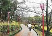 桜まつり始まる／白浜の平草原公園