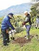 桜と古道楽しんで　田辺、長尾坂近くに植樹