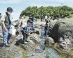 親子が磯の生物観察／田辺の天神崎で教室