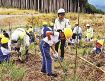 みんなで創る水源林　児童も参加し植樹祭