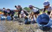 「めっちゃ跳ねてる」／鮎川小児童がアユ放流