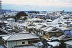 田辺市街地も雪で真っ白　強い寒気、交通へ影響も