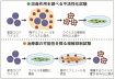 梅成分がコロナ感染阻害　うがい薬など予防で期待