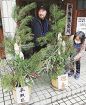 住民が門松手作り／田辺市平瀬／「来年も元気に」／迎春支度