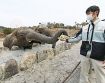 【動画】恵方巻きおいしいゾウ　和歌山県白浜のアドベンチャーワールド