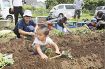 秋の芋掘り楽しみ　園児が「なんたん蜜姫」の苗植え