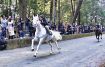 新年祝い馬駆け　みなべ、須賀神社