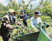 梅収穫ワーケーション　みなべ町で７月までの３カ月間