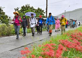 「令和の熊野詣」のリレーウオークで一瀬王子近くを歩く参加者（和歌山県上富田町市ノ瀬で）