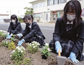 駅前通り華やかに／みなべ町社福協／高校生らと花苗植える