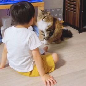 3歳児に“おねだりポーズ”＆ストーブ囲む5匹と0歳児、猫と子どもの可愛いすぎる習慣「永遠に見てられる」「井戸端会議してそう」