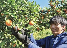 元選手たちの新たな道／野球・関西独立リーグ　和歌山ウェイブス（旧ＦＢ）／地元で農業や球団職員