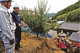 大雨の被災状況確認／岸本知事　みなべでは梅畑