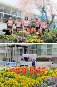 最優秀賞に選ばれた和歌山県田辺市の秋津川小学校（上）と、上富田町の朝来小学校