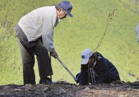 天皇即位記念し植樹／山長グループ　白浜の自社林で