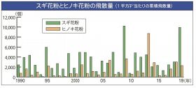 スギ花粉、多かった！／過去３０年で２番目／今春田辺地方の飛散量