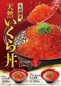 すき家に「いくら丼」が初登場