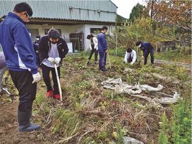 ３年生が芋収穫／南部高校龍神分校