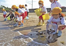 波打ち際でクエの稚魚を放流する園児（５日、みなべ町堺で）