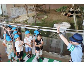 楓浜が見守る中、横断歩道の渡り方を学ぶ園児（２１日、和歌山県白浜町で）