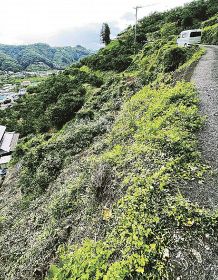 放棄地整備で景観保全／気象データ活用も／田辺市上秋津