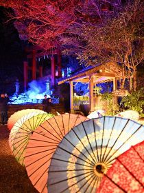 【動画】境内を幻想的に　神倉神社で「和傘の灯り」、和歌山県新宮