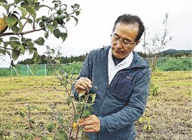 イワテヤマナシ、未来へ／神戸の研究者、盛岡移住