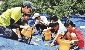 大阪大学の学生から梅拾いを教わる児童（１９日、和歌山県田辺市上芳養で）