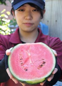 皮が薄く、シャリシャリした食感で甘いのが特徴