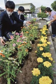 駅前を花いっぱいに／社福協と南高生が苗植え／みなべ