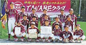 リーグ戦　初めて導入／学童野球／田辺・西牟婁で２大会