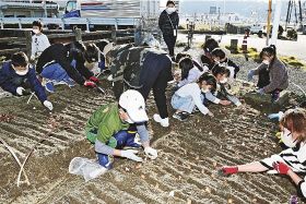 まちなか　花いっぱい／３月に田辺市で全国大会