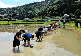 田んぼアートの田植え／南部高龍神分校