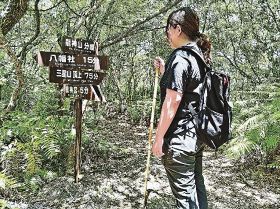 「低山トラベル」楽しんで／田辺観光協　龍神山・三星山に案内板