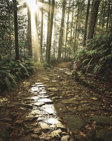 紀伊山地の霊場と参詣道／地域の宝　次世代へ／世界遺産登録２０周年