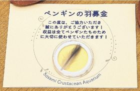 募金に応じた人に贈るペンギンの羽根。白と黒の２種類ある