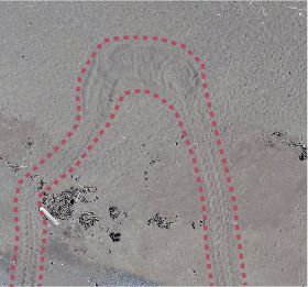 みなべ町山内で確認されたウミガメの上陸跡（２本の点線内）＝上空からドローンで撮影、和歌山県みなべ町教委提供