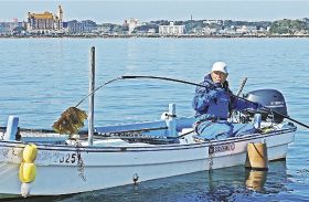 ヒロメを巻き取って船に上げる漁師（６日、田辺湾で）